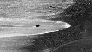 Preview wallpaper sand, sea, shore, bw