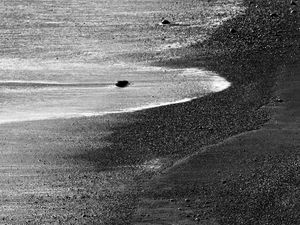 Preview wallpaper sand, sea, shore, bw