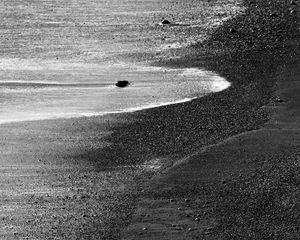 Preview wallpaper sand, sea, shore, bw