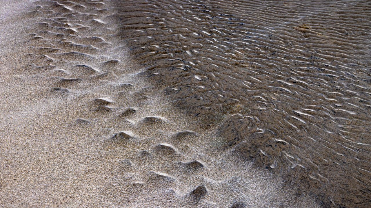 Wallpaper sand, sea, waves, stones, shore, nature
