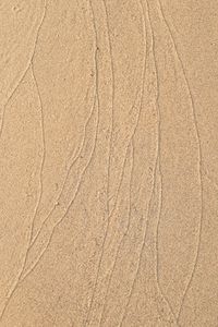 Preview wallpaper sand, trace, lines, sandy