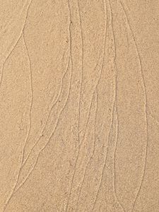 Preview wallpaper sand, trace, lines, sandy