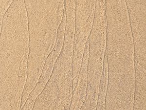 Preview wallpaper sand, trace, lines, sandy