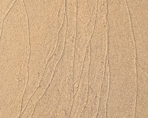 Preview wallpaper sand, trace, lines, sandy