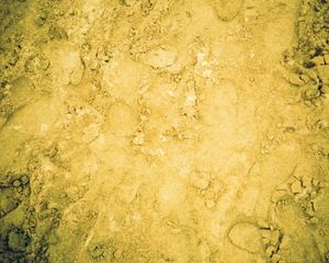 Preview wallpaper sand, traces, crumbly
