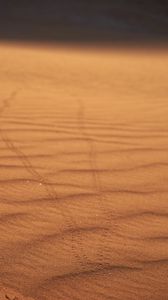 Preview wallpaper sand, traces, desert, blur