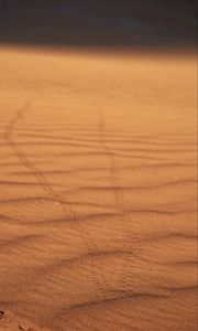 Preview wallpaper sand, traces, desert, blur