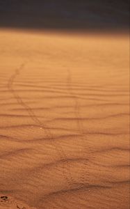 Preview wallpaper sand, traces, desert, blur