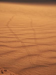 Preview wallpaper sand, traces, desert, blur