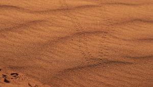 Preview wallpaper sand, traces, desert, blur