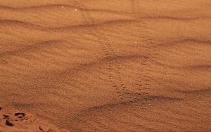 Preview wallpaper sand, traces, desert, blur