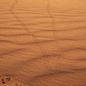 Preview wallpaper sand, traces, desert, blur