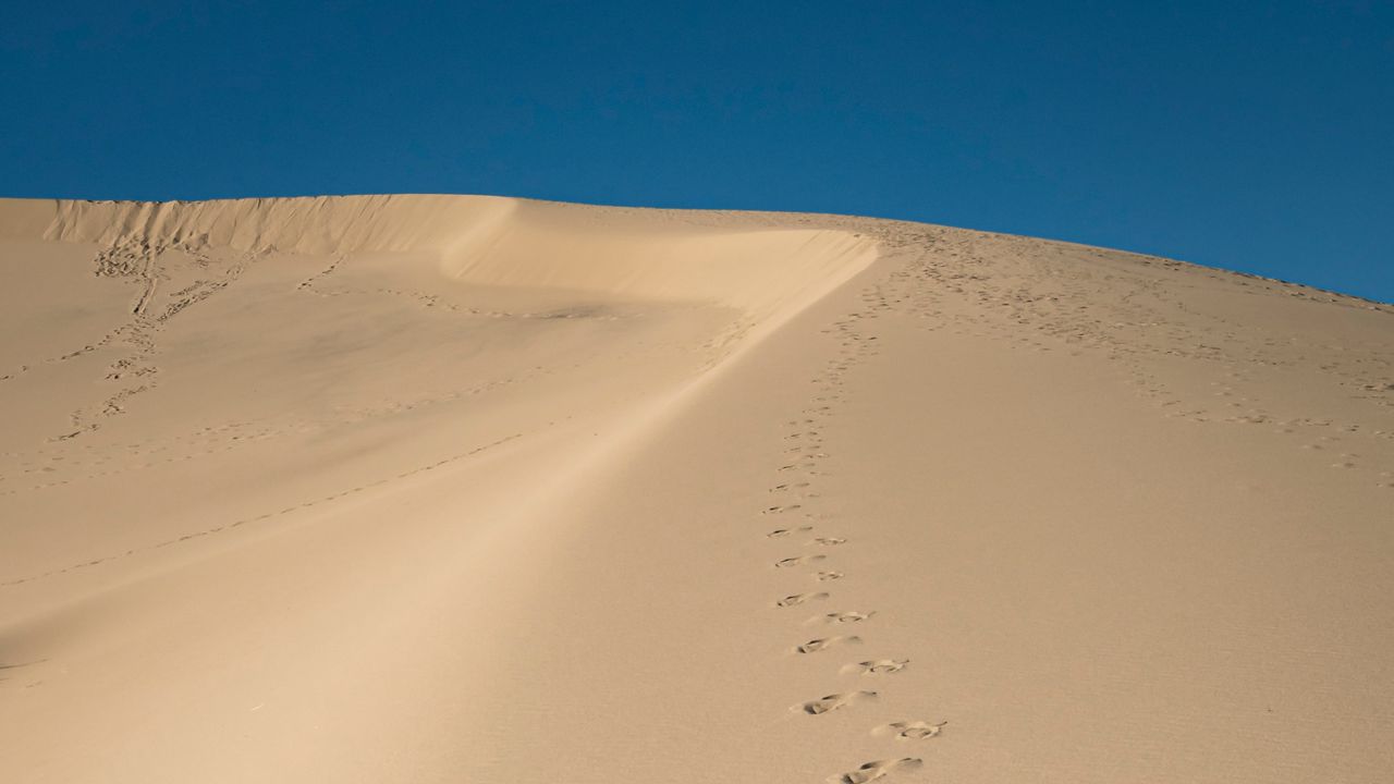Wallpaper sand, traces, desert, dunes, sky