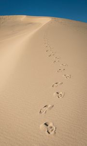 Preview wallpaper sand, traces, desert, dunes, sky