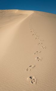 Preview wallpaper sand, traces, desert, dunes, sky