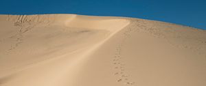 Preview wallpaper sand, traces, desert, dunes, sky