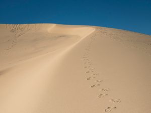 Preview wallpaper sand, traces, desert, dunes, sky