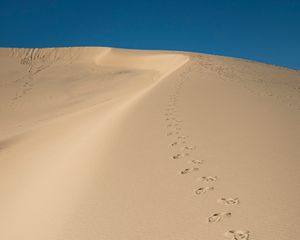 Preview wallpaper sand, traces, desert, dunes, sky