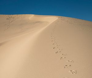 Preview wallpaper sand, traces, desert, dunes, sky