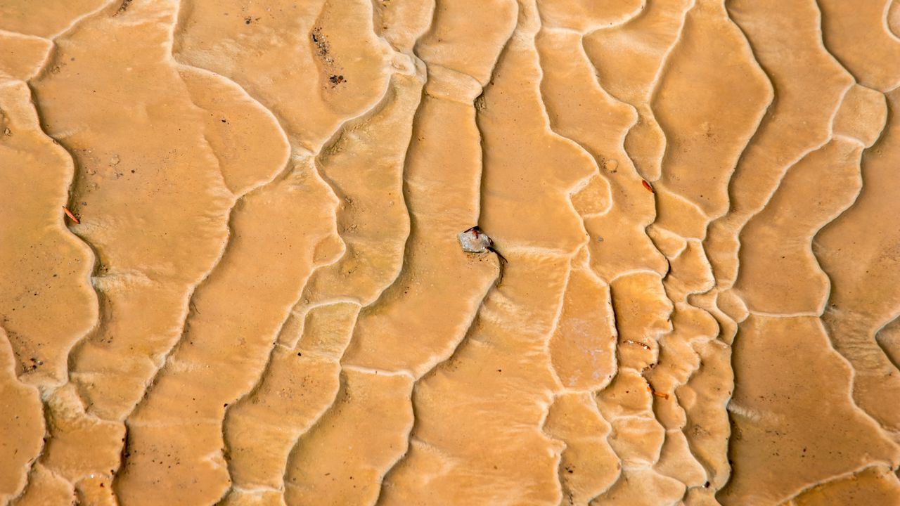 Wallpaper sand, traces, drought, texture