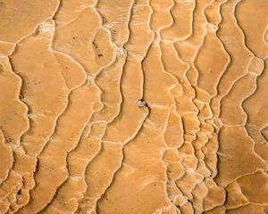 Preview wallpaper sand, traces, drought, texture