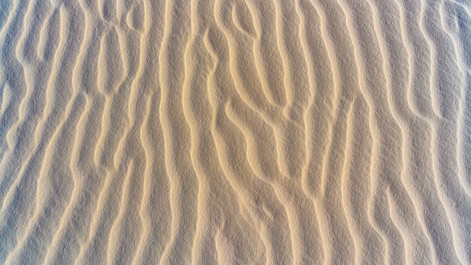 Download wallpaper 1920x1080 sand, traces, relief, texture full hd ...