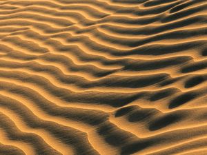 Preview wallpaper sand, traces, waves, desert