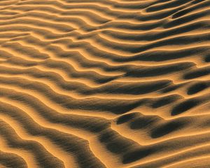 Preview wallpaper sand, traces, waves, desert