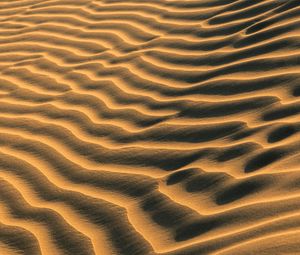 Preview wallpaper sand, traces, waves, desert