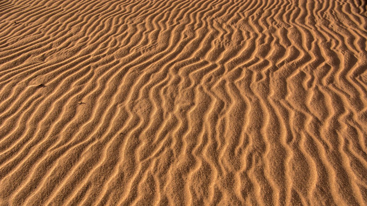 Wallpaper sand, traces, wavy, texture