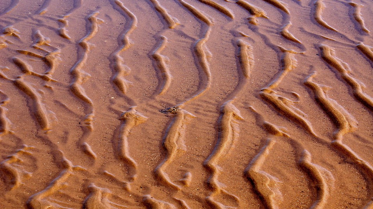 Wallpaper sand, waves, beach, water