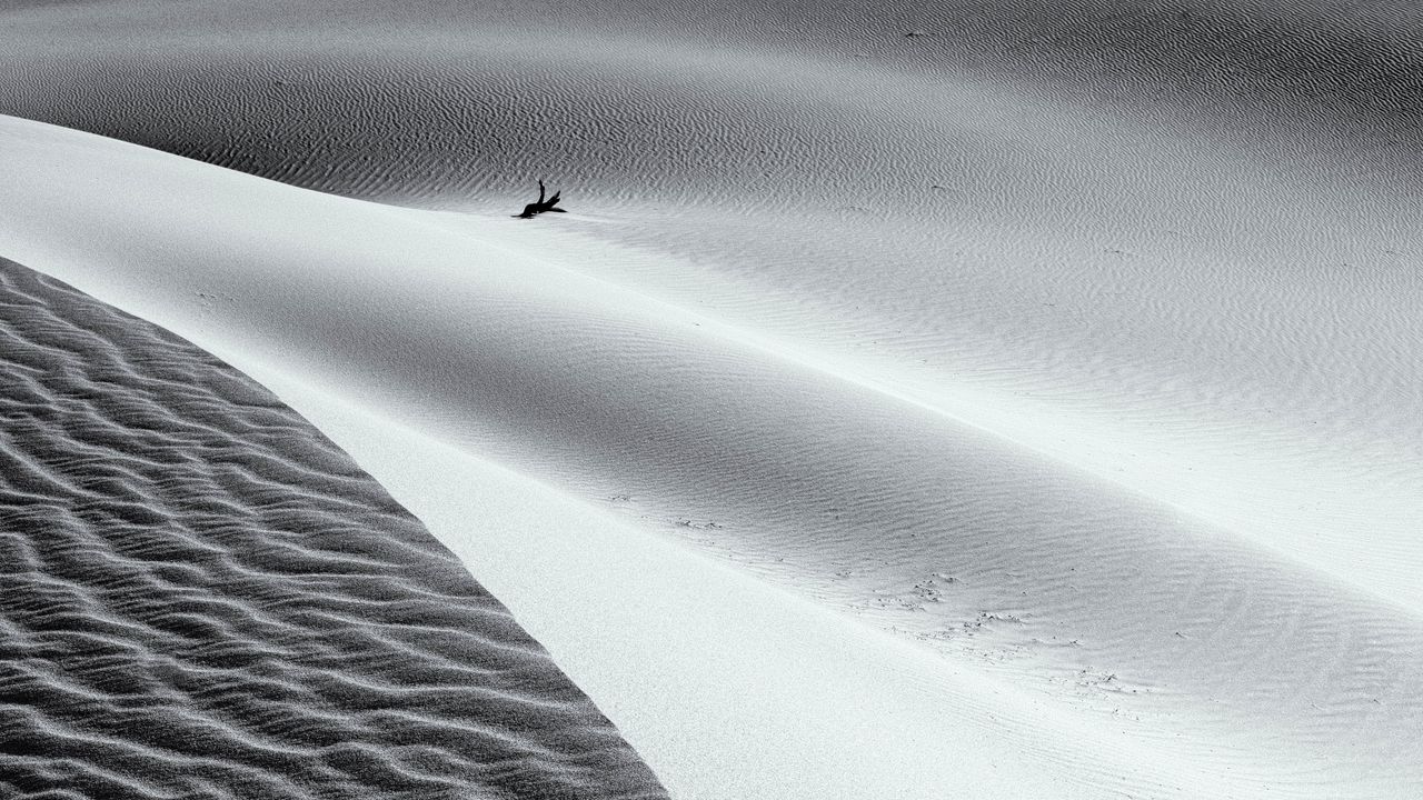 Wallpaper sand, waves, relief, black and white