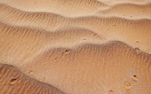 Preview wallpaper sand, waves, traces, texture, desert