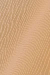 Preview wallpaper sand, wavy, desert, trace