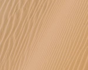 Preview wallpaper sand, wavy, desert, trace