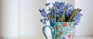 Preview wallpaper scilla, flowers, cup