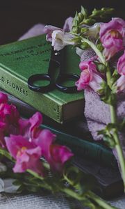 Preview wallpaper scissors, books, flowers, aesthetics