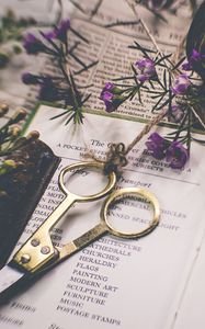 Preview wallpaper scissors, flowers, floristry, aesthetics