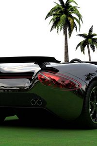 Preview wallpaper scorpion, cars, convertible, black, rear view