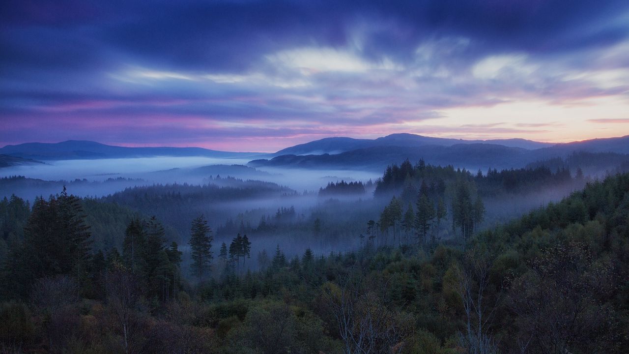 Wallpaper scotland, hills, fog, trees, sky