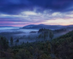 Preview wallpaper scotland, hills, fog, trees, sky