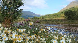Preview wallpaper scotland, mountain, river, grass, daisies