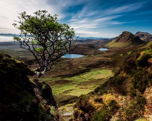 Preview wallpaper scotland, trees, mountains, lake