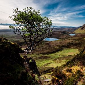 Preview wallpaper scotland, trees, mountains, lake