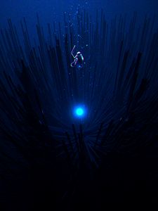 Preview wallpaper scuba diver, levitation, dark, shine, space