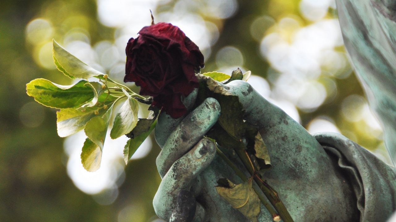 Wallpaper sculpture, hand, rose, glare, blur