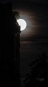 Preview wallpaper sculpture, profile, moon, dark