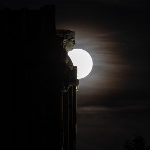 Preview wallpaper sculpture, profile, moon, dark