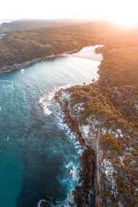 Preview wallpaper sea, aerial view, trees, bay, sunlight