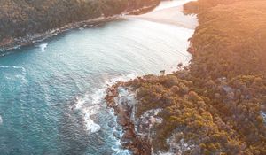Preview wallpaper sea, aerial view, trees, bay, sunlight